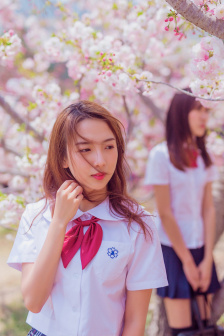 二年级种子传播仿写